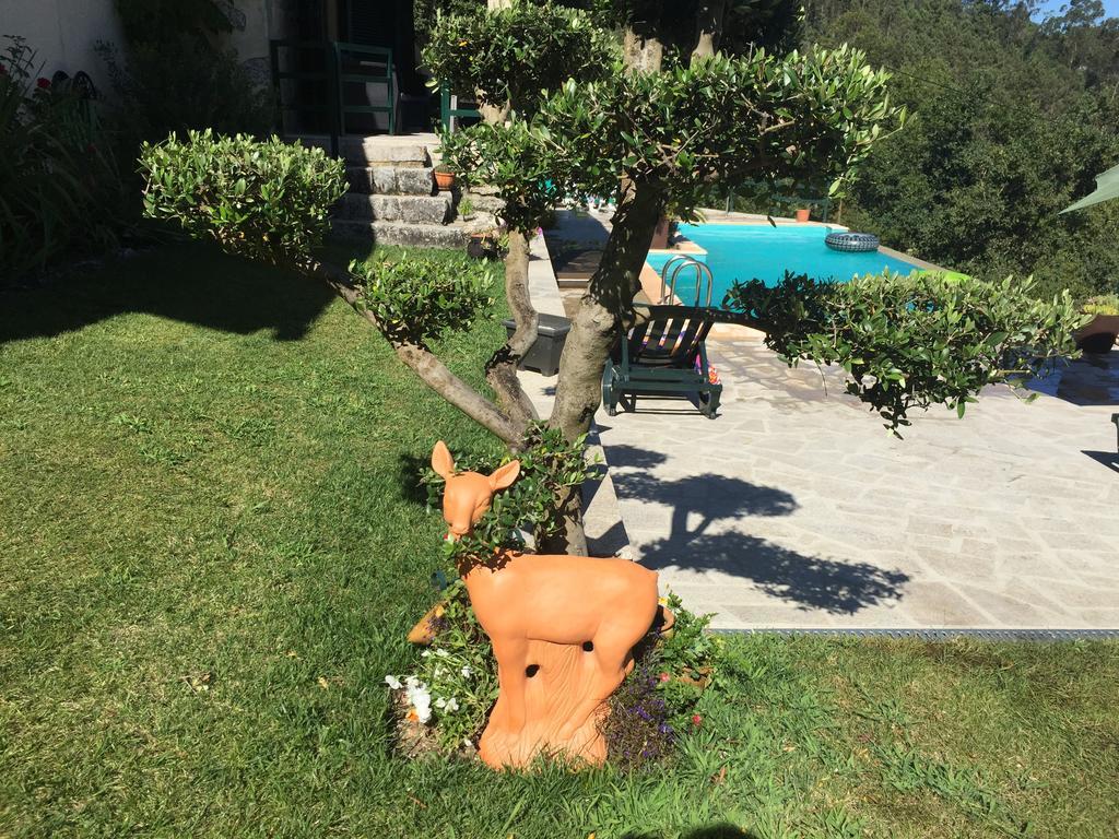 Quinta Paraiso Do Ermal 维埃拉·多米尼奥 外观 照片